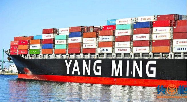 阳明海运成立中国区子公司，2020年1月1日起正式营运